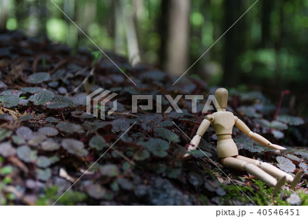 木製人形 40546451