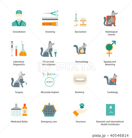 Cartoon Veterinary and Grooming Signs Color Icons Set. Vector 40546814