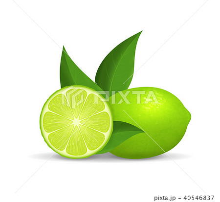 Realistic Detailed 3d Whole Green Fruit Lime and Slice. Vector 40546837