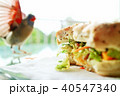 ハワイ、カウアイ島、プリンスビル、リゾート、休日、朝食、リラックス 40547340