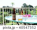 ハワイ、カウアイ島、プリンスビル、リゾート、休日、ビール、ブリュアリー、リラックス 40547352