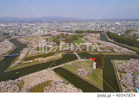 五稜郭公園 五稜郭公園 40547874