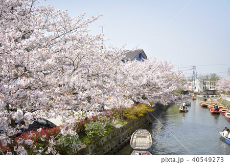 柳川市 川下り 春の風景の写真素材