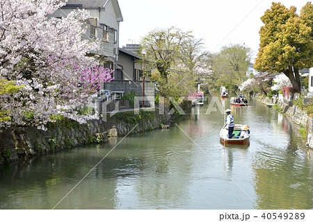 柳川市 川下り 春の風景 柳川市 川下り 春の風景 40549289