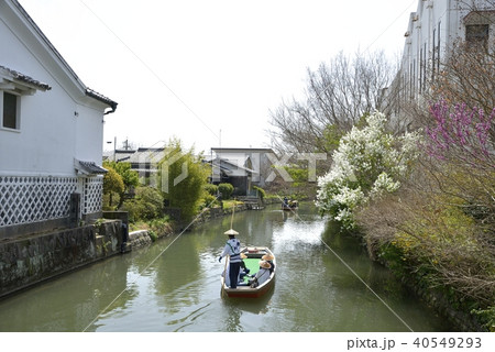 柳川市 川下り 春の風景 柳川市 川下り 春の風景 40549293