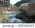 箱根湯本駅前の早川 40549403