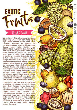 Exotic fruit banner with tropical berry border 40549701