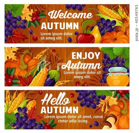 Autumn vector fall harvest and leaves banners 40549765