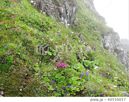 八ヶ岳の景色2 八ヶ岳の景色2 40550057