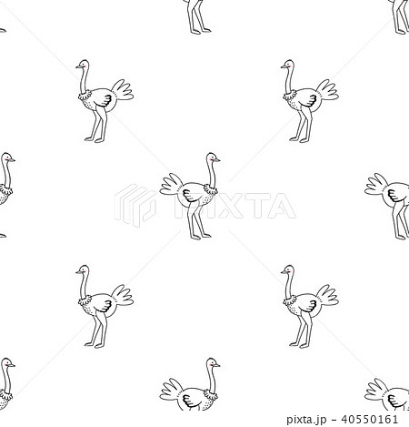 Ostrich vector pattern Ostrich vector pattern 40550161