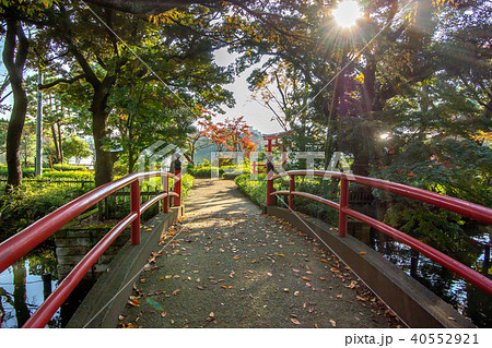 東京都大田区の洗足池弁財天 東京都大田区の洗足池弁財天 40552921