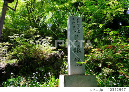 慈眼院 40552947