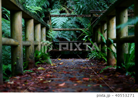 ウタラ炭鉱跡 ウタラ炭鉱跡 40553271