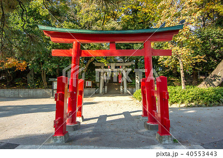 千束八幡神社 40553443