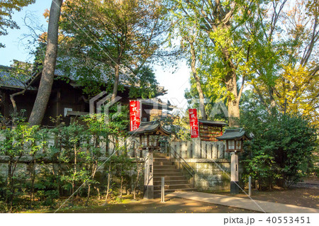 千束八幡神社 40553451