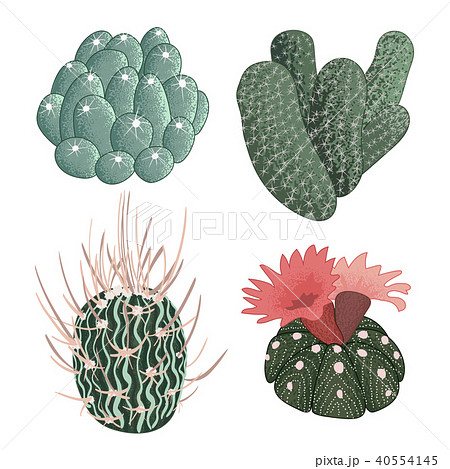 Set of cactuses, hand drawn vector illustration 40554145