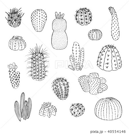 Set of cactuses, hand drawn vector illustration 40554146