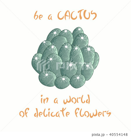 Be a cactus in a world of delicate flowers  40554148