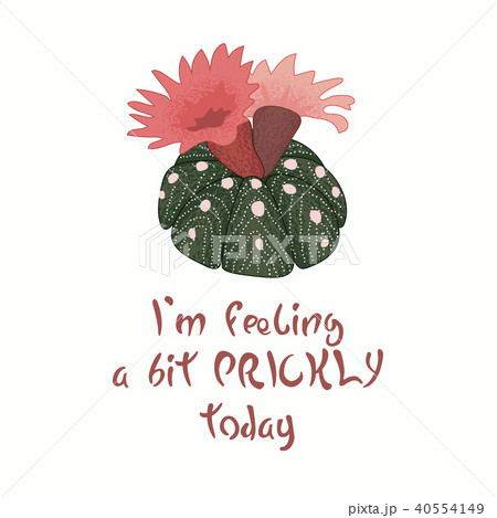 Message slogan I'm feeling a bit prickly today  40554149