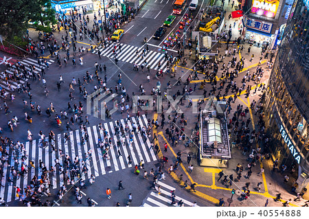 《東京都》渋谷駅前・スクランブル交差点《俯瞰》 《東京都》渋谷駅前・スクランブル交差点《俯瞰》 40554888