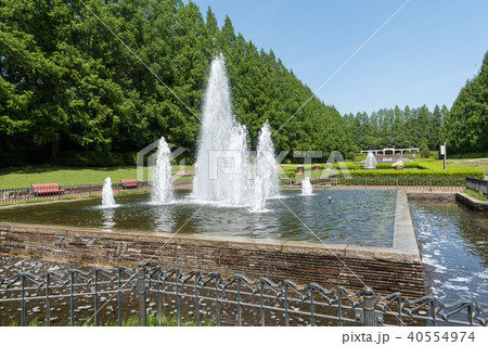 相模原公園 相模原公園 40554974