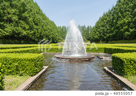 相模原公園 相模原公園 40555057