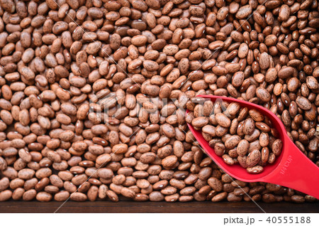 close up of pinto bean for background  40555188