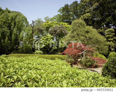 星野山無量寿寺中院 40555601