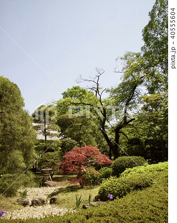 星野山無量寿寺中院 40555604
