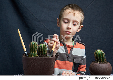 little boy set down his houseplant cactus little boy set down his houseplant cactus 40556952