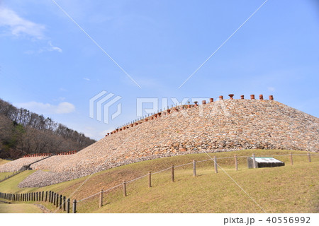 森将軍塚古墳 森将軍塚古墳 40556992