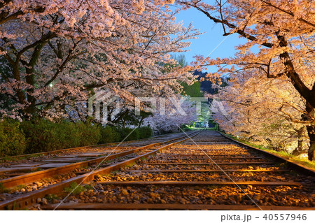 蹴上インクライン 桜の写真素材