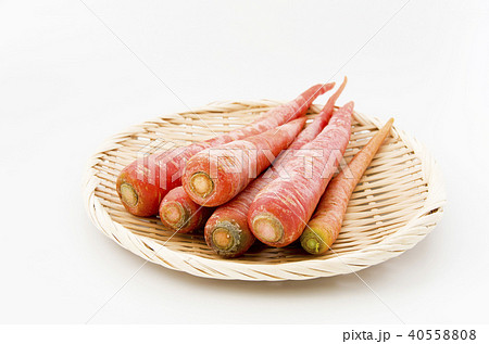 金時人参 金時人参 40558808