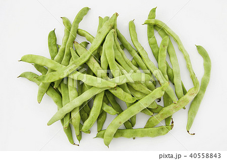 ヒラサヤインゲン 40558843