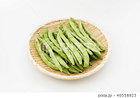 ヒラサヤインゲン 40558925