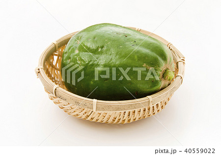 パパイヤ パパイヤ 40559022