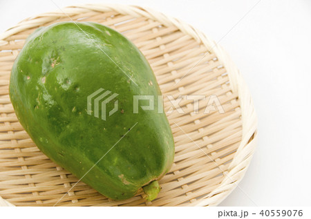 パパイヤ 40559076