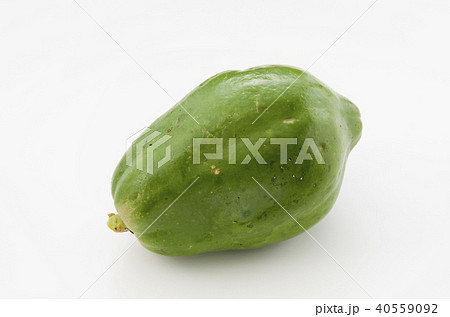 パパイヤ 40559092