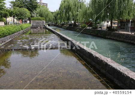 広瀬川(改修前) 広瀬川(改修前) 40559154