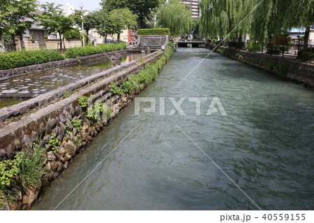 広瀬川(改修前) 広瀬川(改修前) 40559155