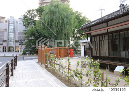 萩原朔太郎記念館と前橋文学館 萩原朔太郎記念館と前橋文学館 40559165