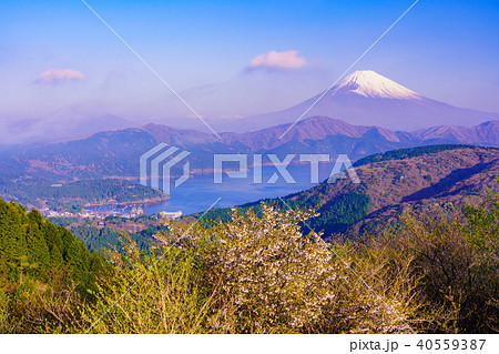 (神奈川県)箱根大観山から富士山 (神奈川県)箱根大観山から富士山 40559387