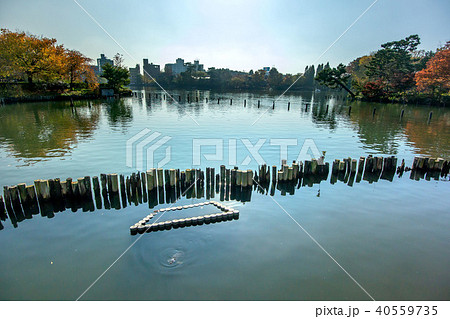洗足池公園 洗足池公園 40559735
