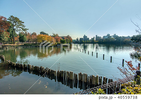 洗足池公園 40559738