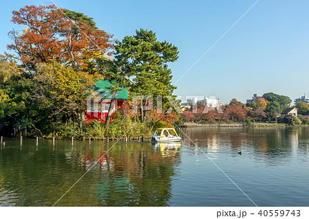 東京都大田区南千束の洗足池公園 40559743