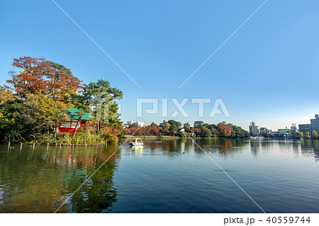 洗足池公園 洗足池公園 40559744