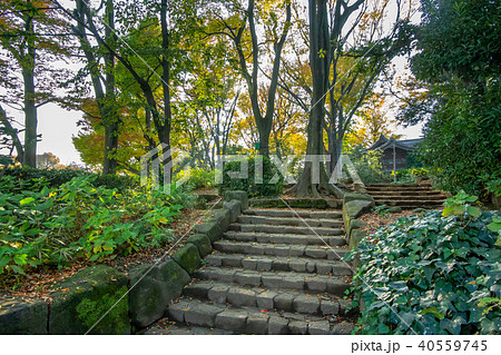 洗足池公園 40559745