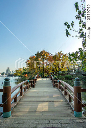 洗足池公園 洗足池公園 40559749