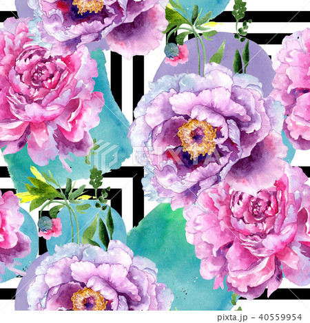 Wildflower peony pink flower pattern in a watercolor style. 40559954