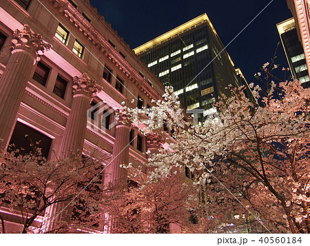 日本橋桜フェスティバル 40560184